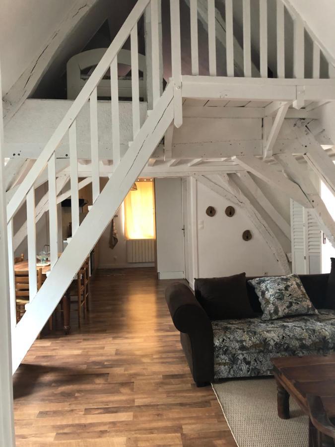 Le Grand Appartement - 90M2- 2 Chb , 1 Mezzanine - 6Pers Romorantin-Lanthenay Eksteriør bilde