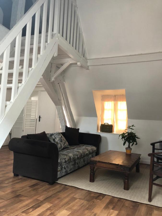 Le Grand Appartement - 90M2- 2 Chb , 1 Mezzanine - 6Pers Romorantin-Lanthenay Eksteriør bilde