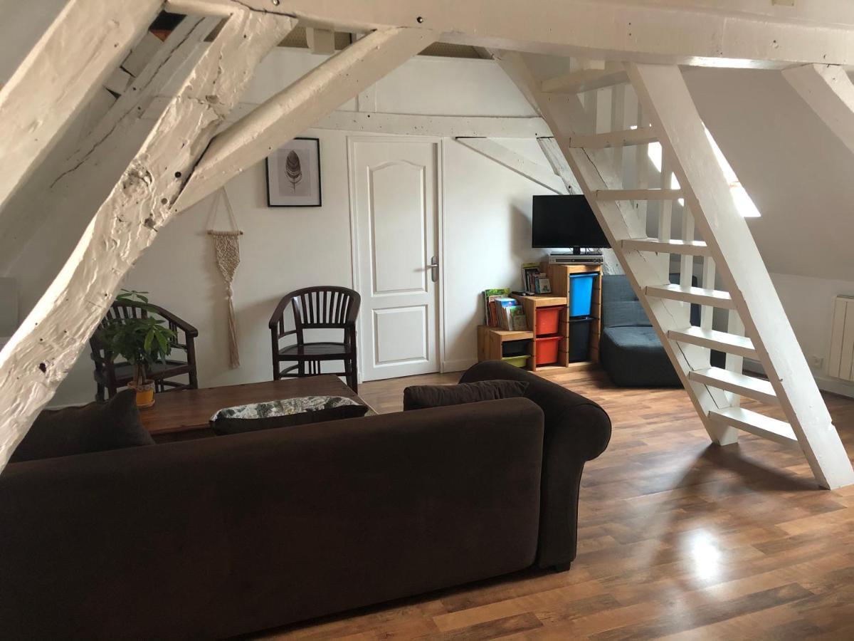 Le Grand Appartement - 90M2- 2 Chb , 1 Mezzanine - 6Pers Romorantin-Lanthenay Eksteriør bilde