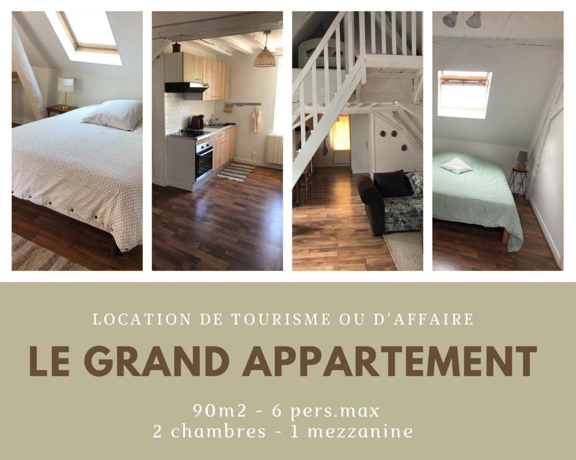 Le Grand Appartement - 90M2- 2 Chb , 1 Mezzanine - 6Pers Romorantin-Lanthenay Eksteriør bilde